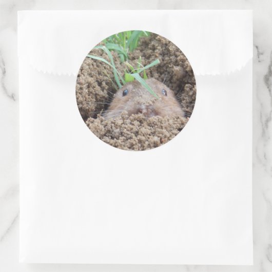 Vole Creature Briefkaart Ronde Sticker (Tas)