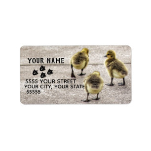 Volg de Ducks Adresetiketten Etiket