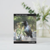 Volg de Flock Post Card Florida Briefkaart (Staand voorkant)