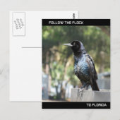 Volg de Flock Post Card Florida Briefkaart (Voorkant / Achterkant)