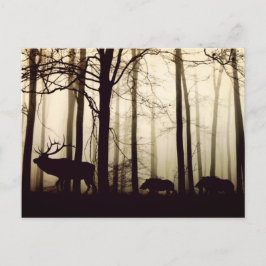 Volg de Leader Briefkaart