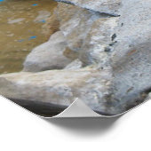 Volg de Leader Poster (Hoek)