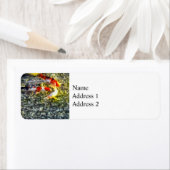 Volg de leider etiket (Insitu)