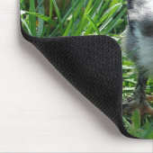 Volg de leider muismat (Hoek)