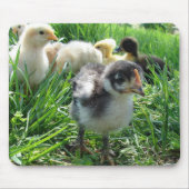 Volg de leider muismat (Voorkant)