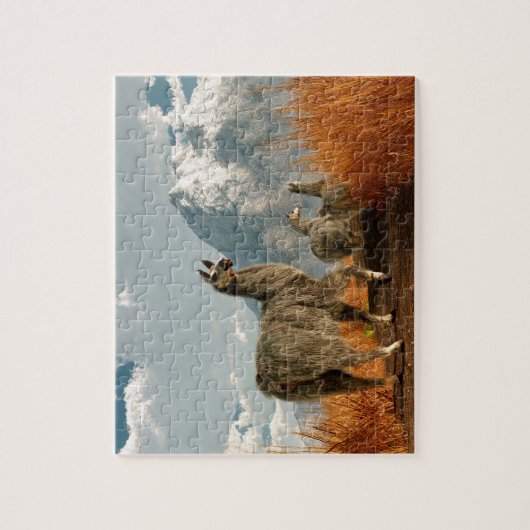 Volg de Llama Legpuzzel (Verticaal)