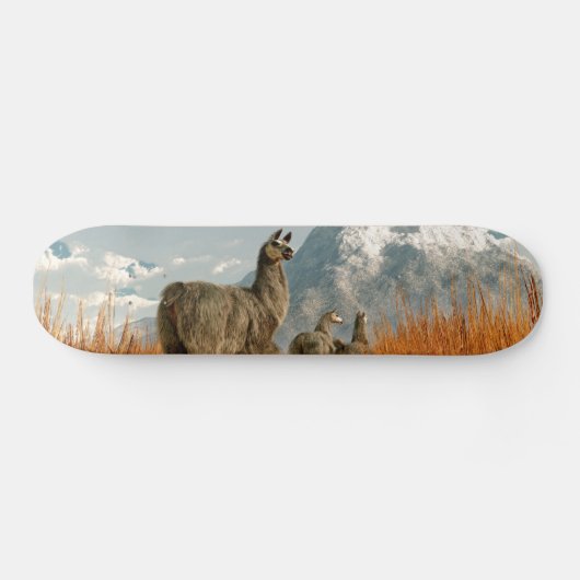 Volg de Llama Skateboard (Horizontaal)