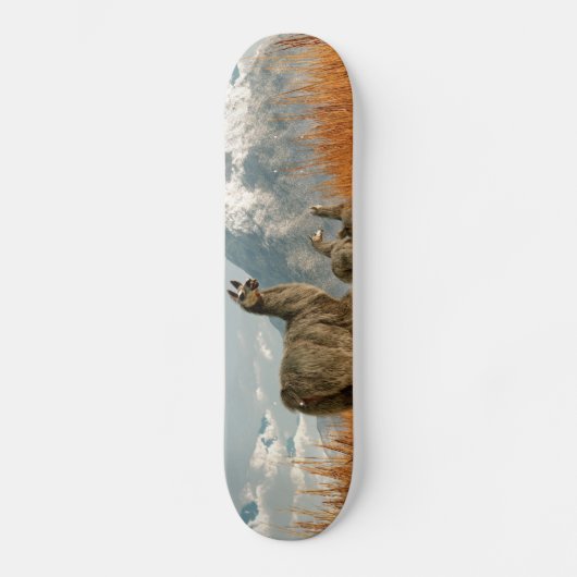 Volg de Llama Skateboard (Voorkant)