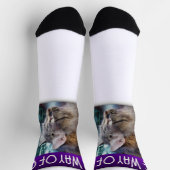 Volg de manier van katten, en de filosofie ervan,  sokken (Top)