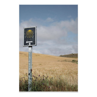 Volg de pijl Poster