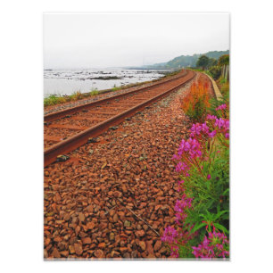 Volg de Tracks Foto Afdruk