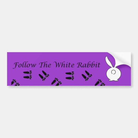 Volg de witte konijn bumpersticker (Voorkant)