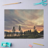 Volg de zon tissuepapier (Craft)