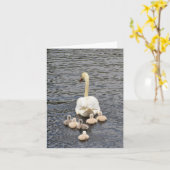 Volg (Dempen-swaan cygnets #4) - Blanco briefkaart (Gele Bloem)