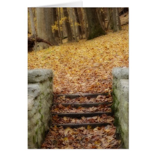 Volg het pad (Voorkant)