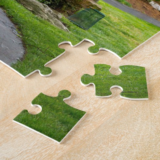 Volg het pad legpuzzel (Zijkant)