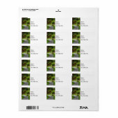 Volg het padlabel etiket (Full Sheet)