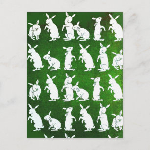 Volg het Witte Rabbit briefkaart