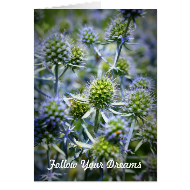 Volg je dromen (Voorkant)