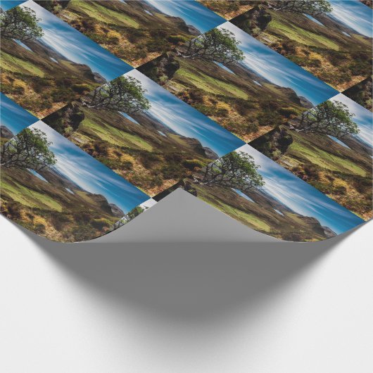 Volg je dromen! cadeaupapier (Hoek)