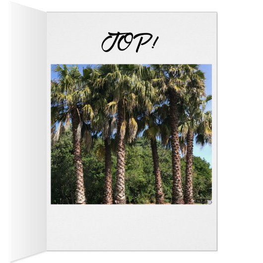 Volg je dromen Inspirerend Note Kaart (Binnen (Rechts))