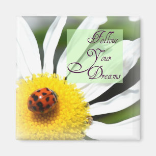 Volg je dromen Ladybug Magnet
