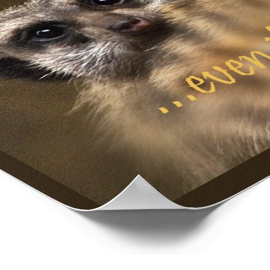 Volg je dromen! poster (Hoek)