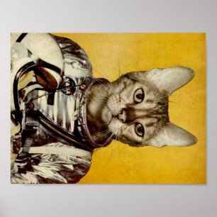 Volg je dromen poster