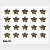 Volg je dromen! ster sticker (Vel)