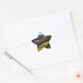 Volg je dromen! ster sticker (Envelop)