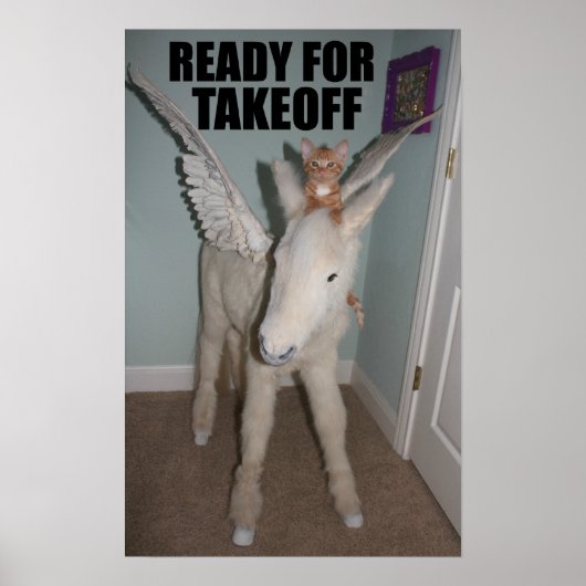 Volg je dromen. Zelfs als je een kat bent. Poster (Voorkant)