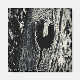 "Volg je hart" magneet