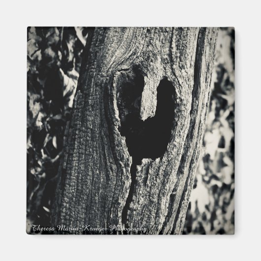 "Volg je hart" magneet (Voorkant)