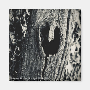 "Volg je hart" Magnet