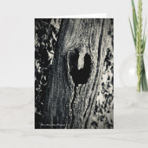 Volg je hart Wenskaart met citaat