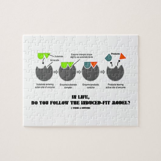 Volg je in het leven het geïnduceerde model? legpuzzel (Horizontaal)