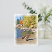 Volg me briefkaart (Staand voorkant)