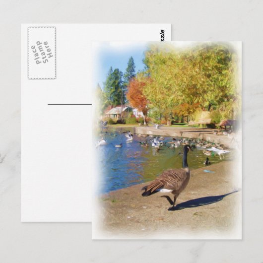 Volg me briefkaart (Voorkant / Achterkant)