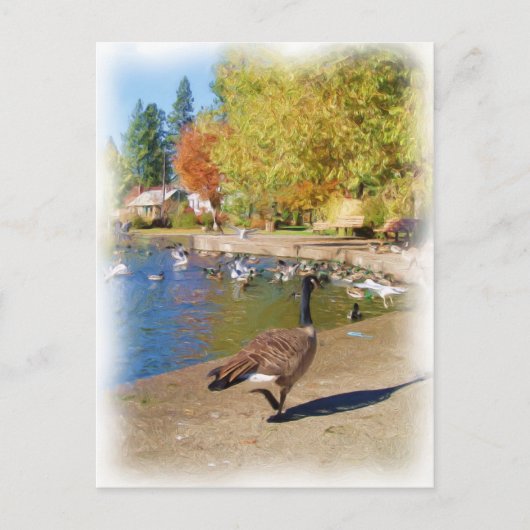 Volg me briefkaart (Voorkant)