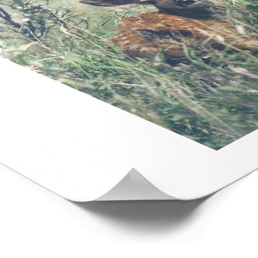 Volg me. poster (Hoek)