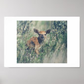 Volg me. poster (Voorkant)