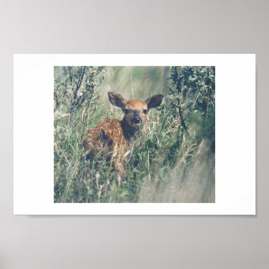 Volg me. poster (Voorkant)