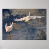 Volg me Poster (Voorkant)