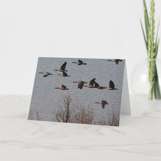 Volg uw Hart - Ganzen Kaart (Voorkant)