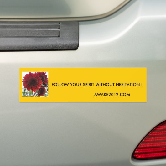 VOLG UW SPIRIT ... BUMPERSTICKER (Op auto)