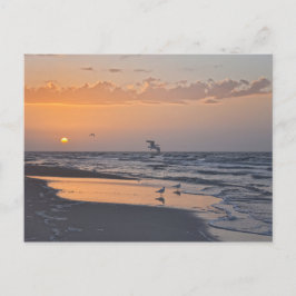 Volgen op zonsopgang op een strand van Florida Briefkaart
