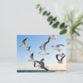 Volgen tijdens de vlucht briefkaart (Staand voorkant)