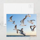 Volgen tijdens de vlucht briefkaart (Voorkant / Achterkant)