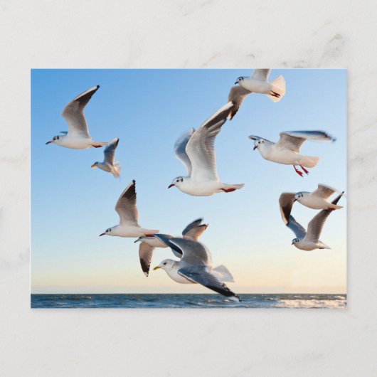 Volgen tijdens de vlucht briefkaart (Voorkant)