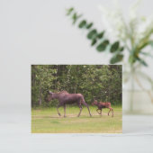 Volgend in Moms Footprint Briefkaart (Staand voorkant)